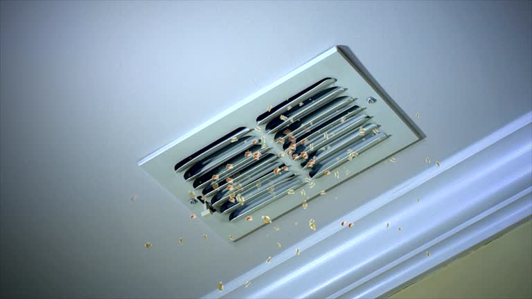 Home Air Vent Cleaning in Feather Sound, FL